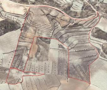 investment in spain Pinoso